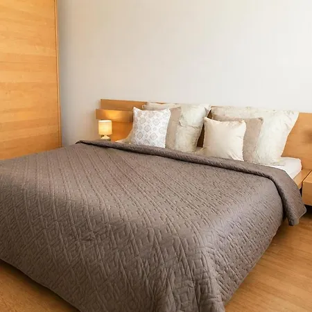 Large Two-room Near Centre 公寓