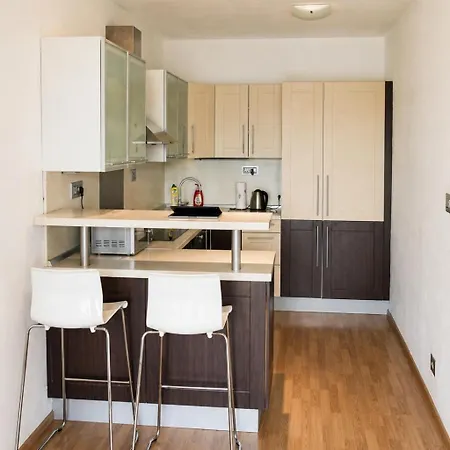 Large Two-room Near Centre 公寓